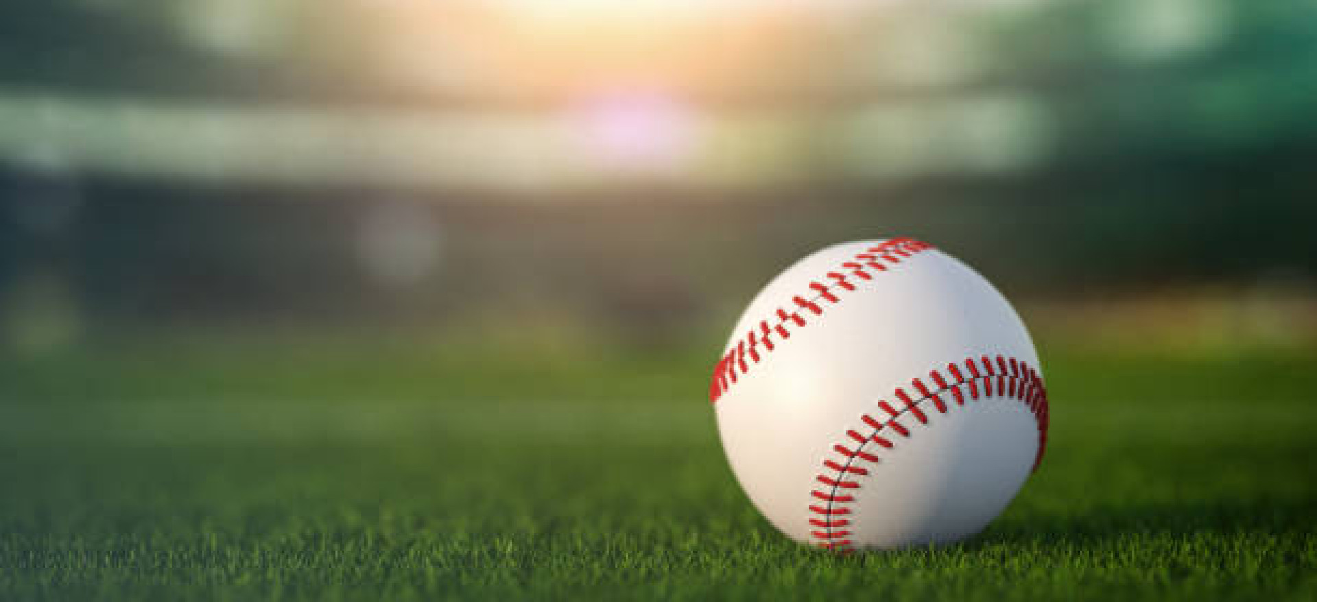 Beeball